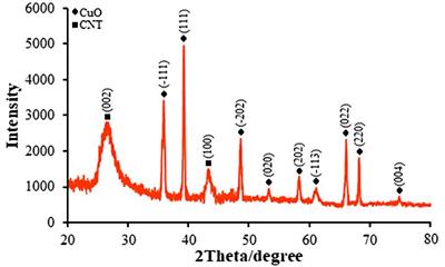 Electrochemical DNA-nano biosensor for the detection of Goserelin as anticancer drug using modified pencil graphite electrode